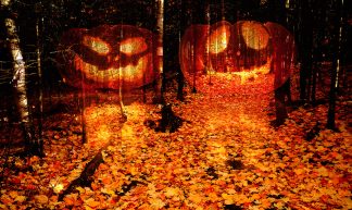 Halloween Scary Wood 2 Stock Image