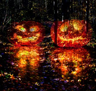 Halloween Scary Wood 3 Stock Image