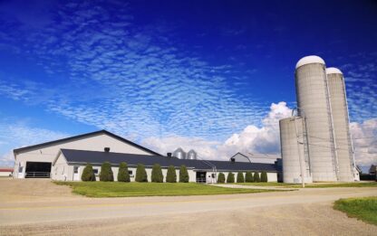 Modern Large Farm with Bulk Grain Storage Silos Stock Image