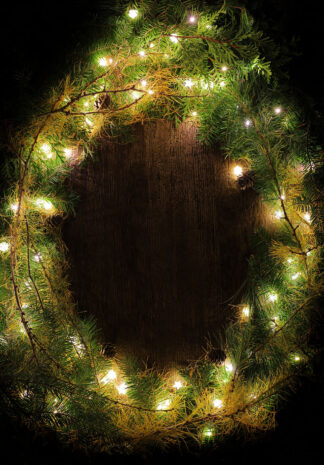 Vertical Pine and Lights Frame 1 - Just Creative Royalty-Free Stock Imagery at Budget Prices