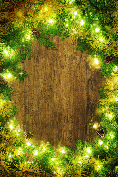 Vertical Pine and Lights Frame 2 - Just Creative Royalty-Free Stock Imagery at Budget Prices